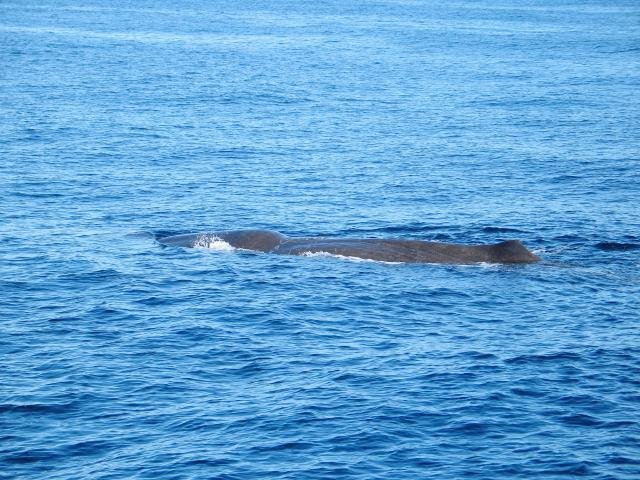 Urlaub in Norwegen 2006